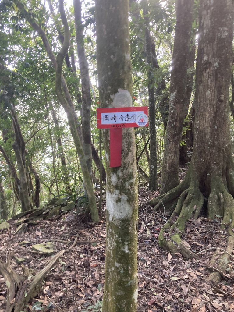 20231118-19六龜警備道_藤枝段_2353023