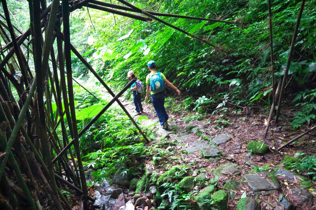 淡蘭古道中路之中坑、崩山坑古道O型_685714