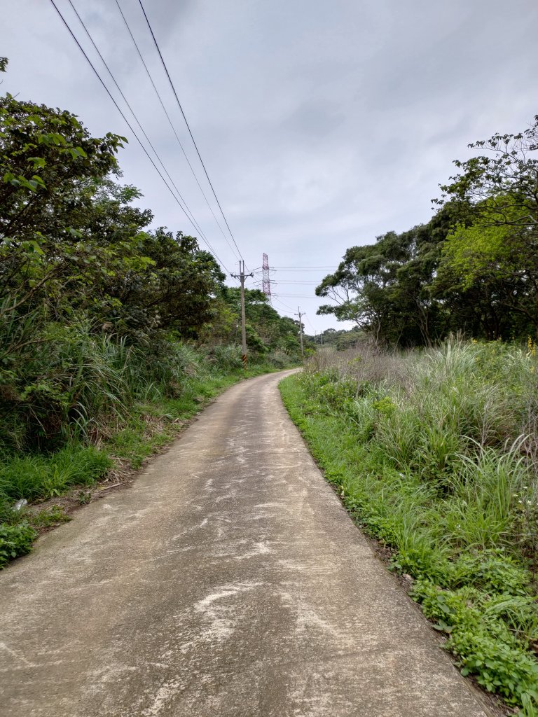 龜山大坑桐花步道-陳厝坑山O形_904648