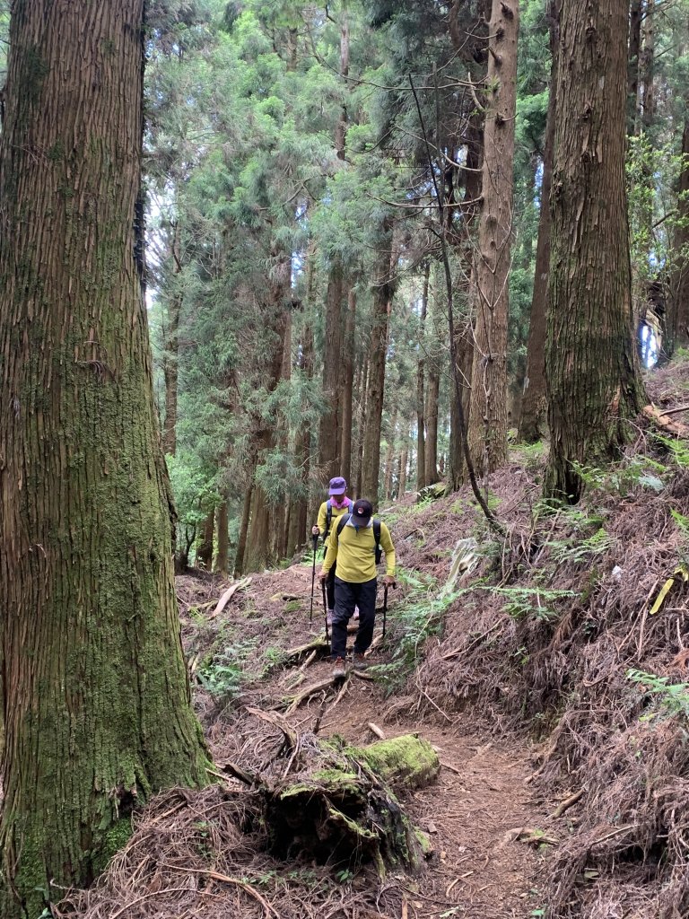 20250517義義兒玉山-東水山_2791638