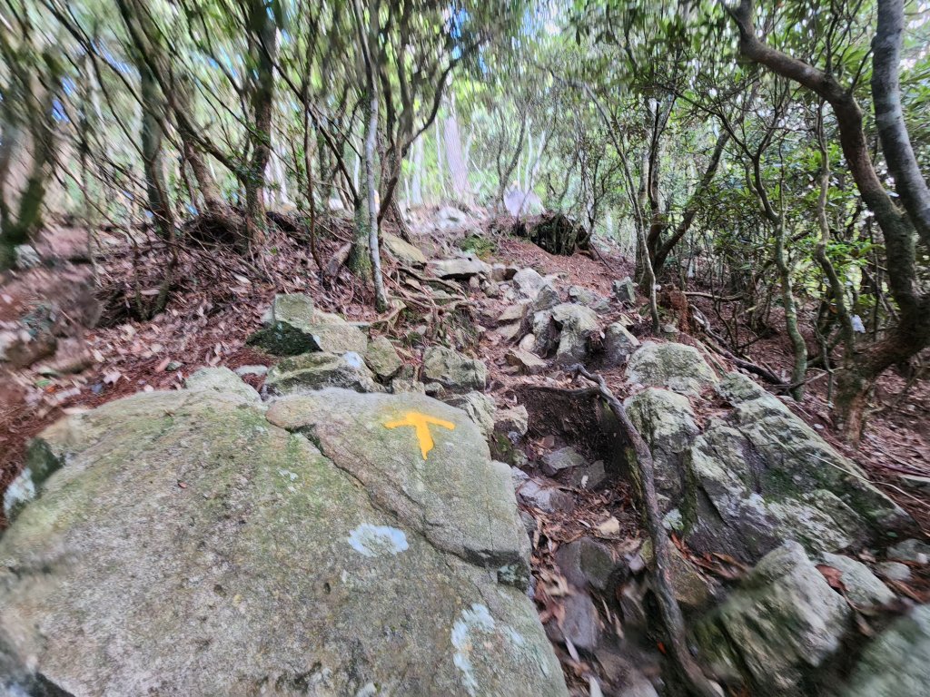 20250831鳶嘴稍來_2928602