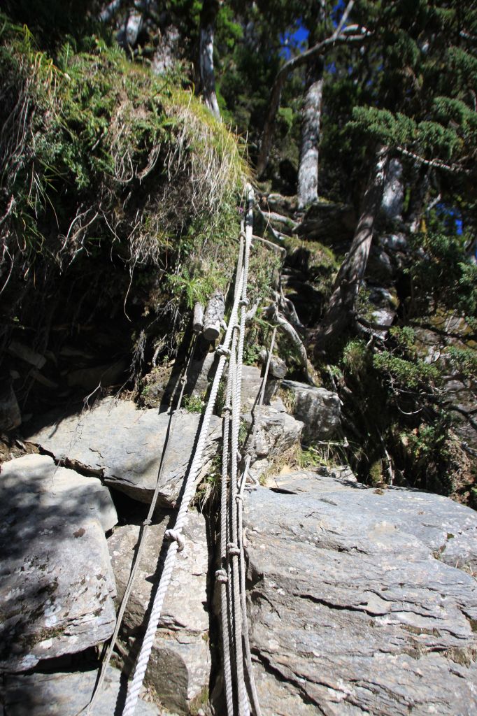 難開放的南一段_139591