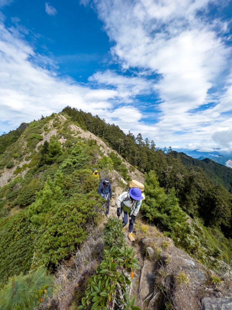歐買尬～干卓萬橫斷四天_1488784