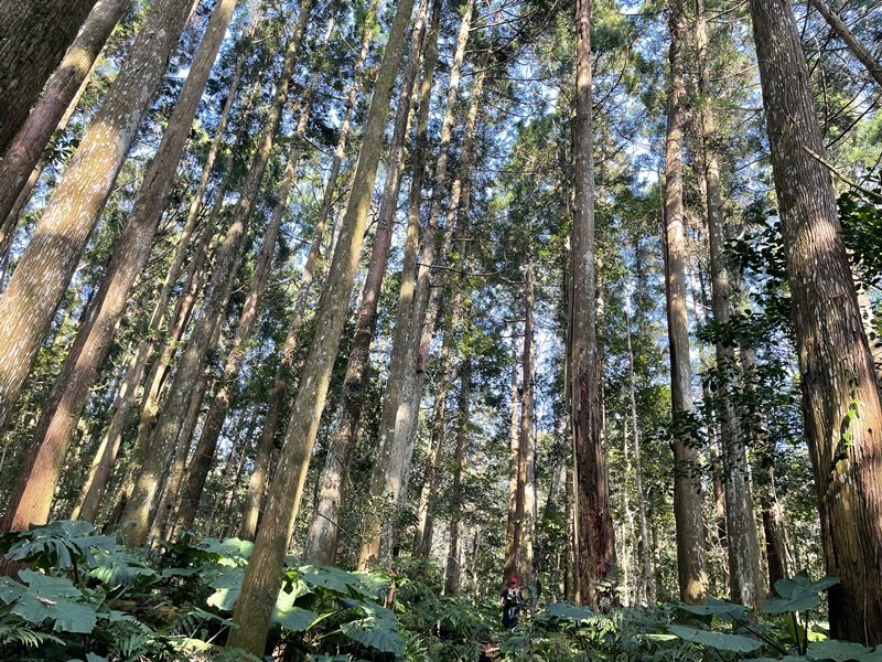 內鳥嘴山封面圖