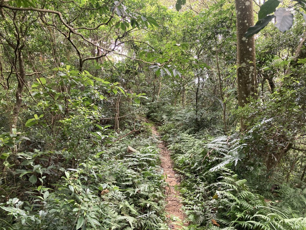打牛崎古道_2564057