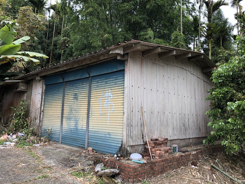 關仔嶺大凍山步道走曾文水庫O型_1611844
