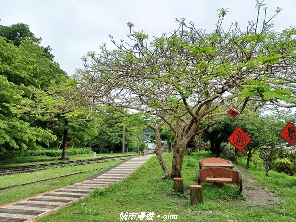 【台中后里】蓊鬱林間。 后里泰安登山步道_1728735