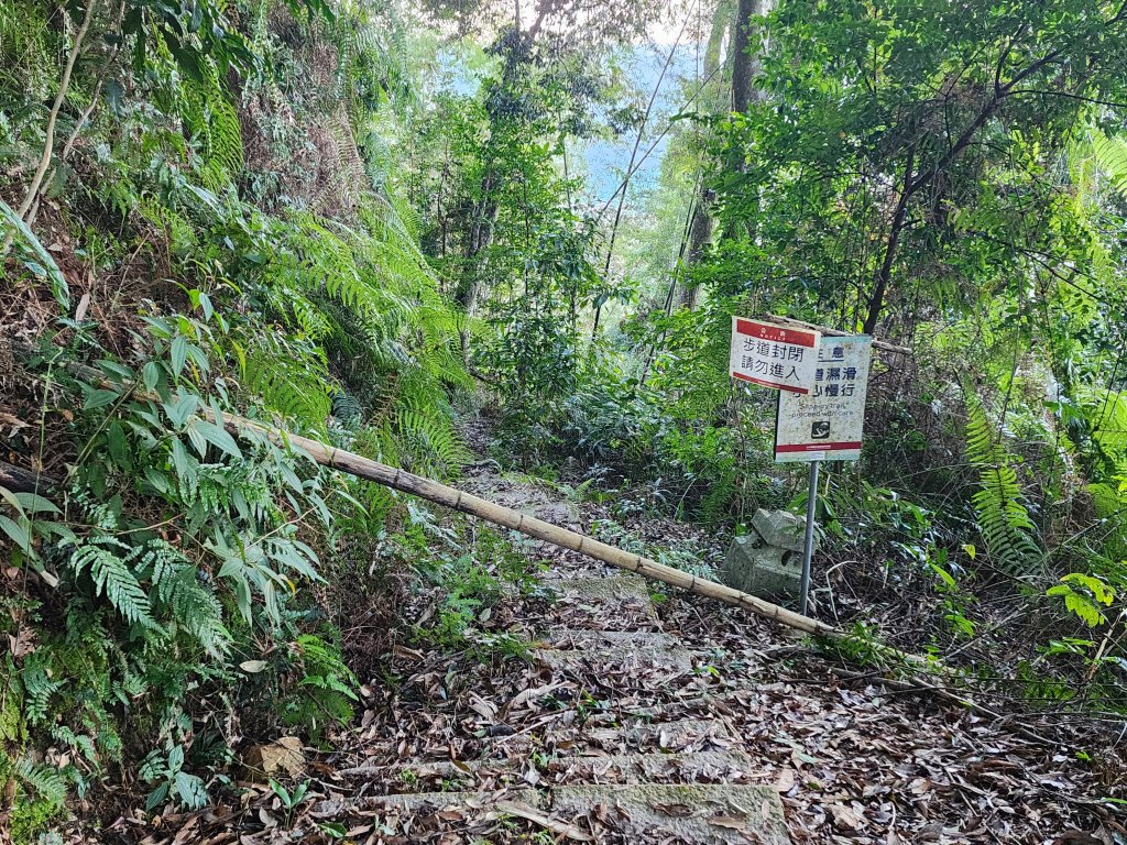 20250216水社大山潭南線_2746110