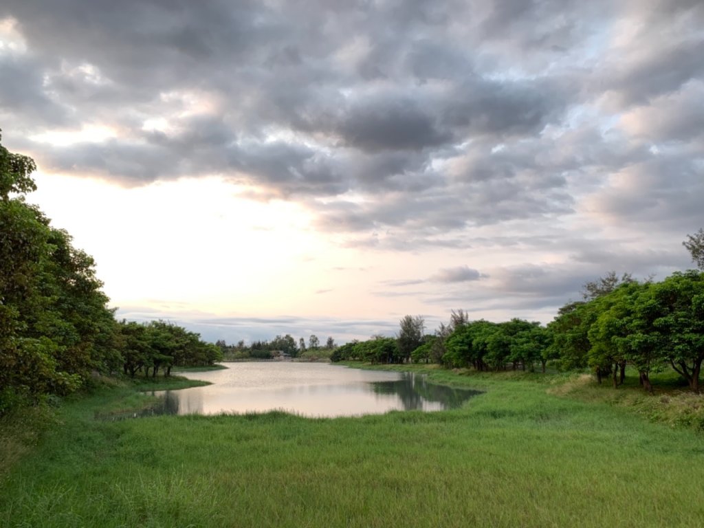 台東森林公園_552404