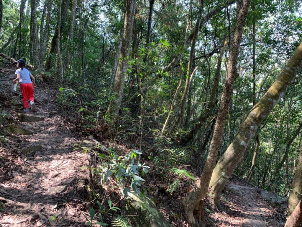 谷關七雄老六～白毛山_562537