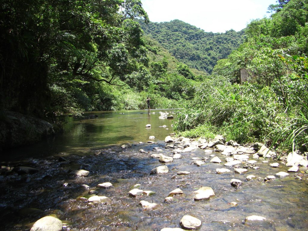 烏來紅河谷20090726_1957818