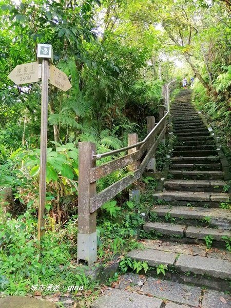 台北南港~城市中的山林風光~小百岳南港山_1185338