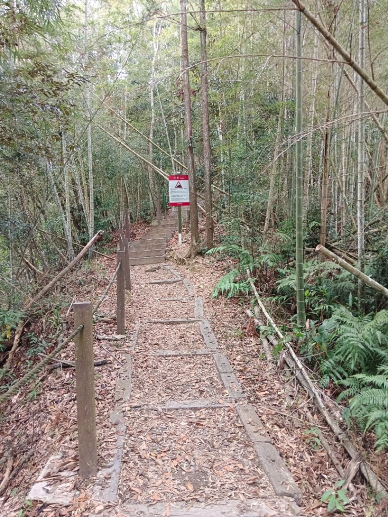 240402一日南投四顆小百岳（大橫屏山+九份二山+貓囒山+後尖山）_2470472