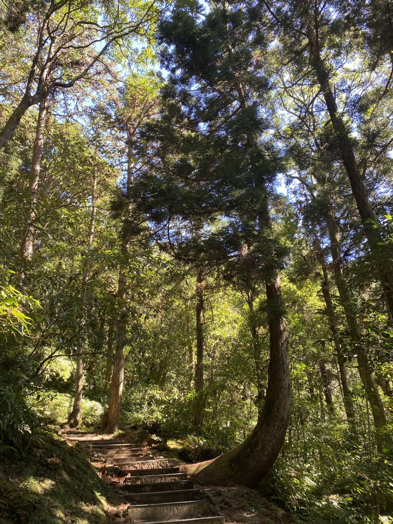 1111104東眼山_2673060