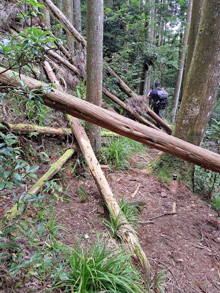 鳥大不用比，到軍營遺址就好20231001_2303547