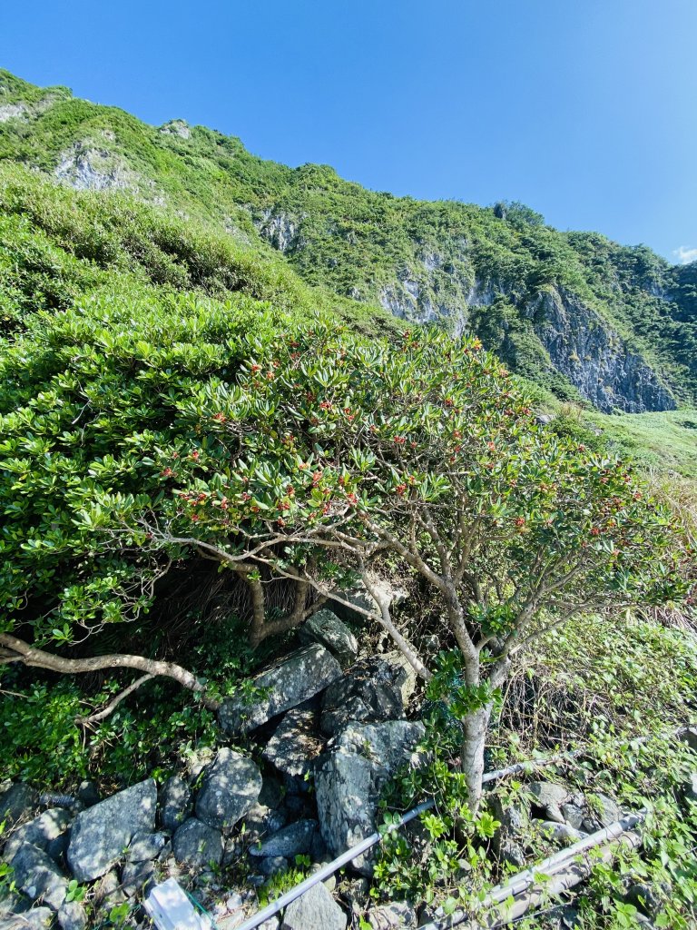 基隆嶼 年度最後一梯登島_2853665