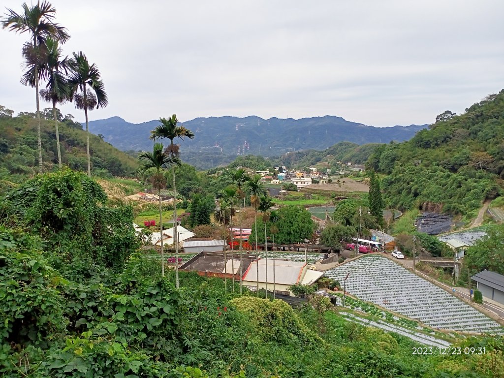 四訪苗栗的花果山-小百岳#037馬那邦山、雪霸國家公園管理處【小百岳集起來、苗栗-臺灣百大必訪步道】_2394300