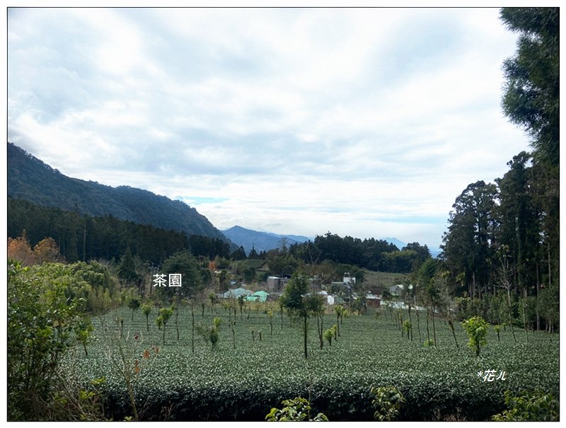 大凍山、頂湖步道 O型ㄧ圈_2984149