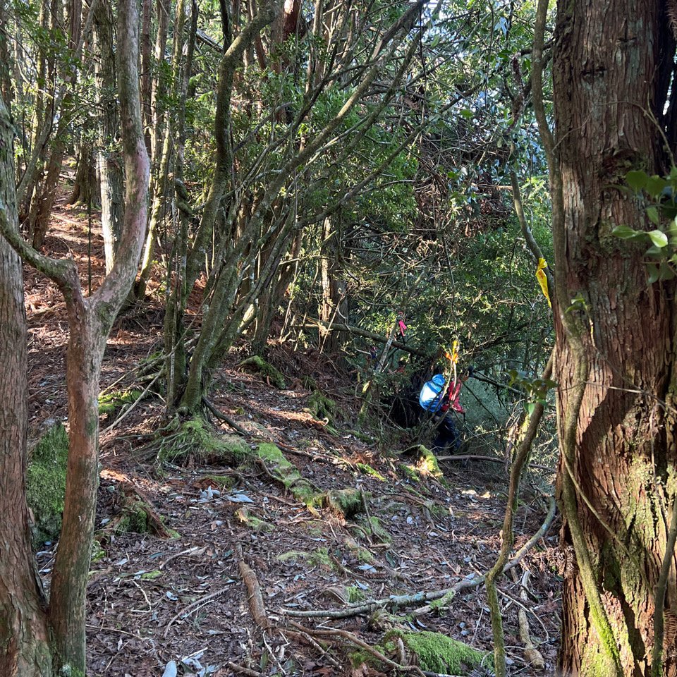 2022/03/08觀霧山莊-雪見遊憩區_1635620