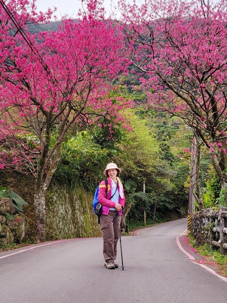 賞花+爬山健行-20240224_2436923
