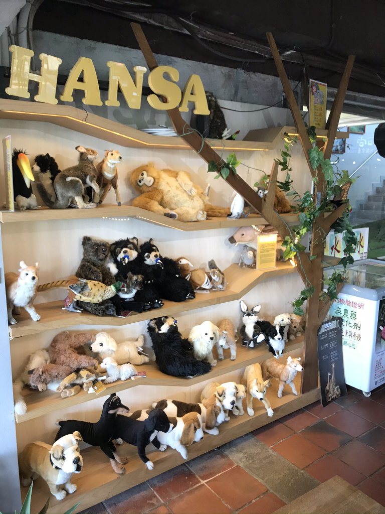 陽明山縱走之鍊_880996