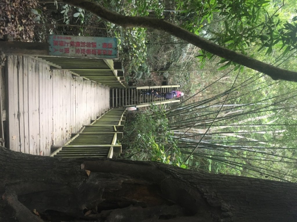 蘭潭後山步道_2041865