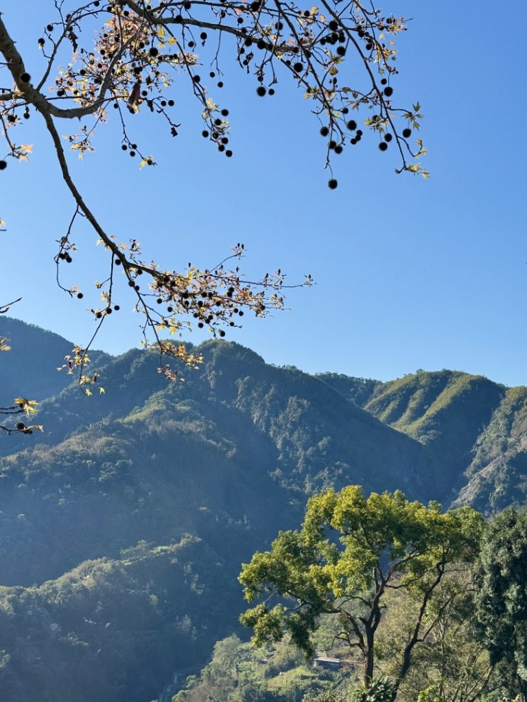 20250216瑞峰瑞里健行_2730526