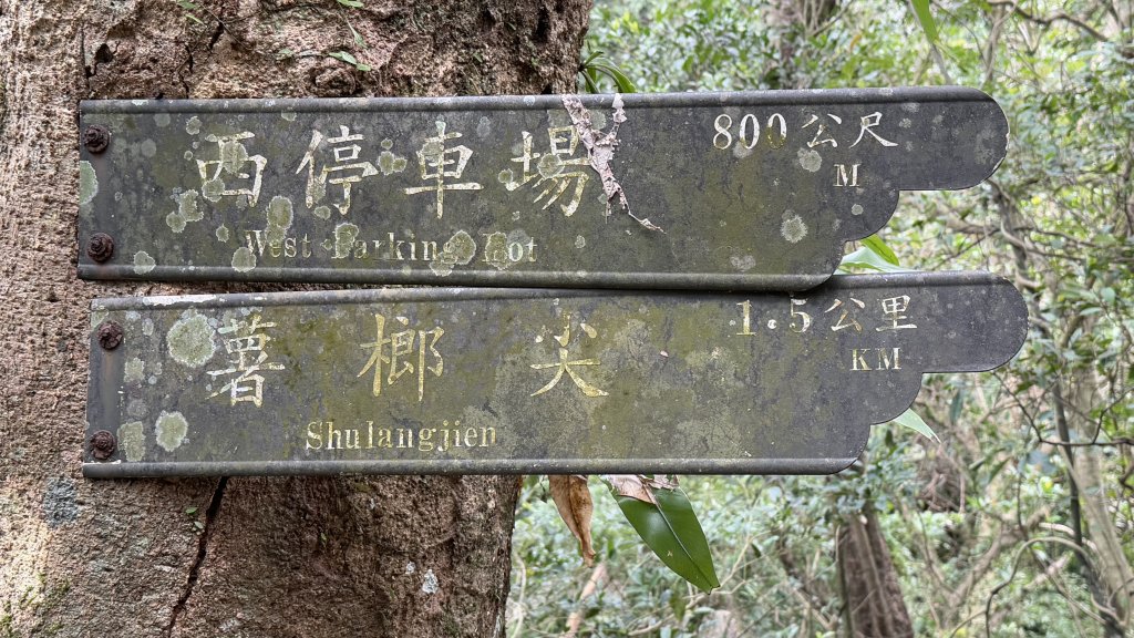 親民石階路線的平溪二尖|石筍尖 |薯榔尖|峯花雪月_2698059