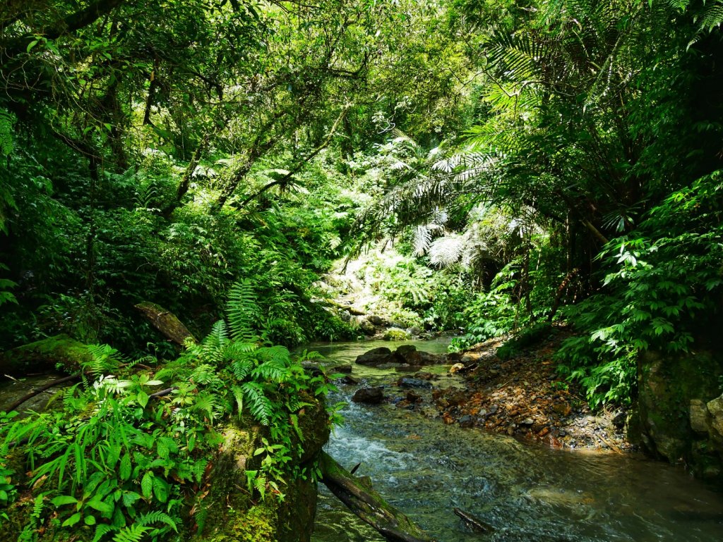 月眉坑瀑布_657506