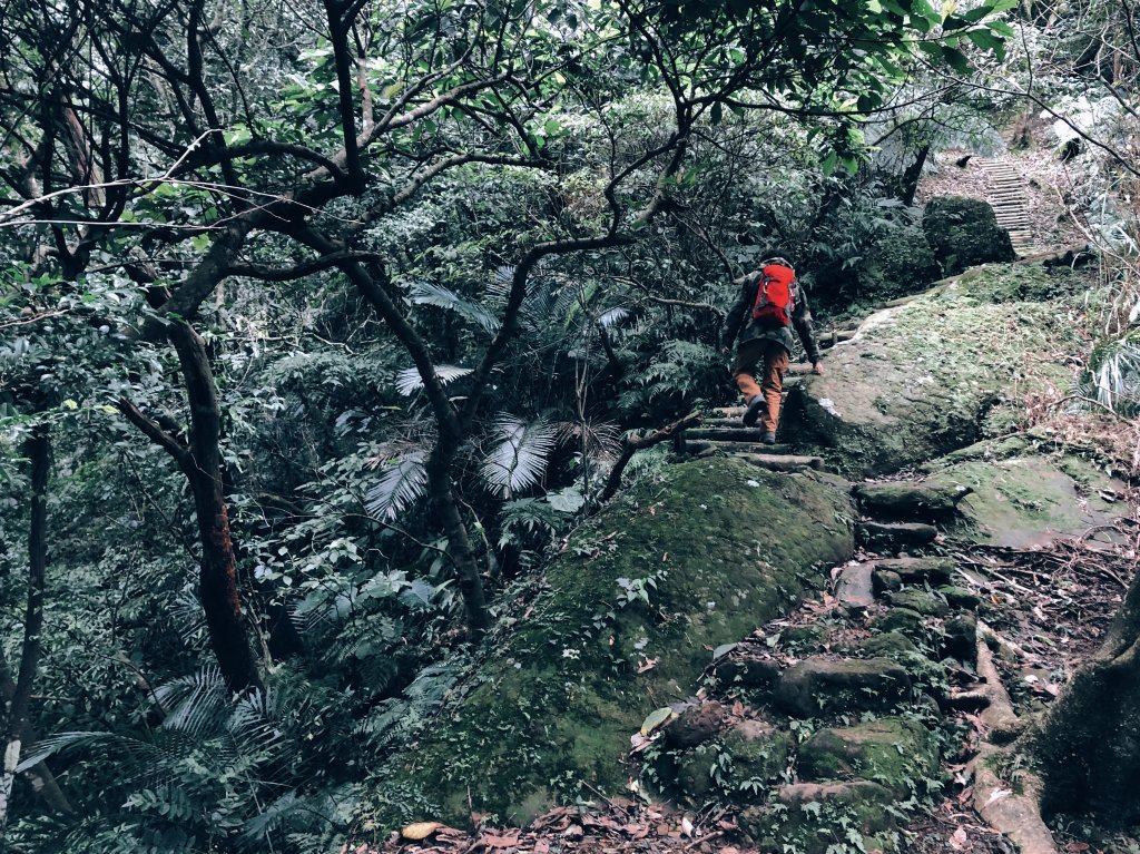 鴨寶｜淡蘭中路：十分─泰平_1243729