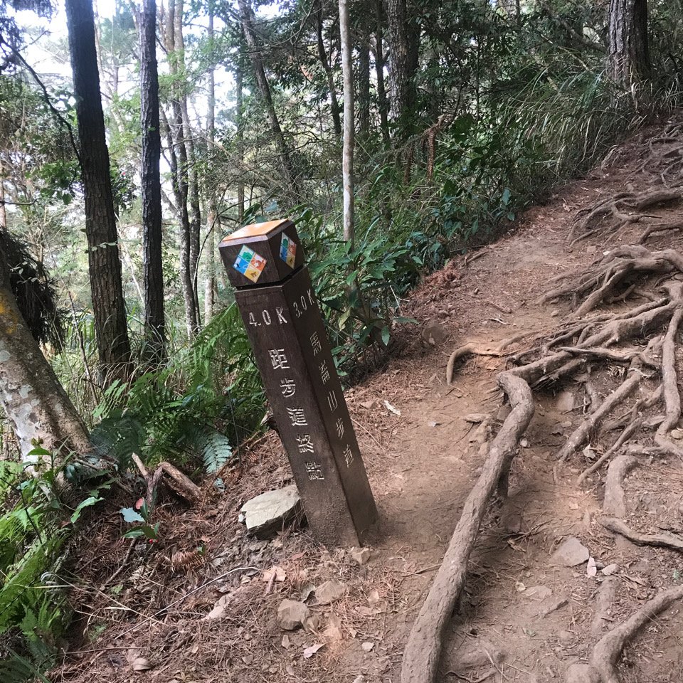 谷關七雄 馬崙山（老二）2023.03.04_2051356