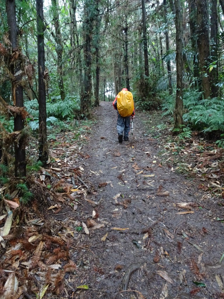 2022年02月20日(鳳凰山協)南投信義-望鄉部落-獵人古道之望美山及瓊山_1616676