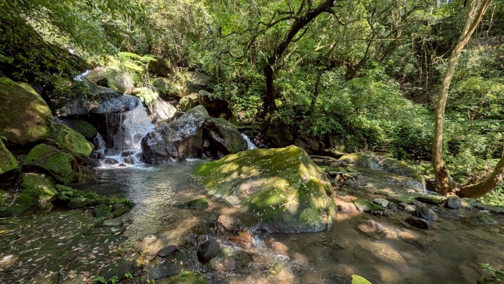 114.04.27草山觀瀑吊橋-紫明溪步道之旅_2771786