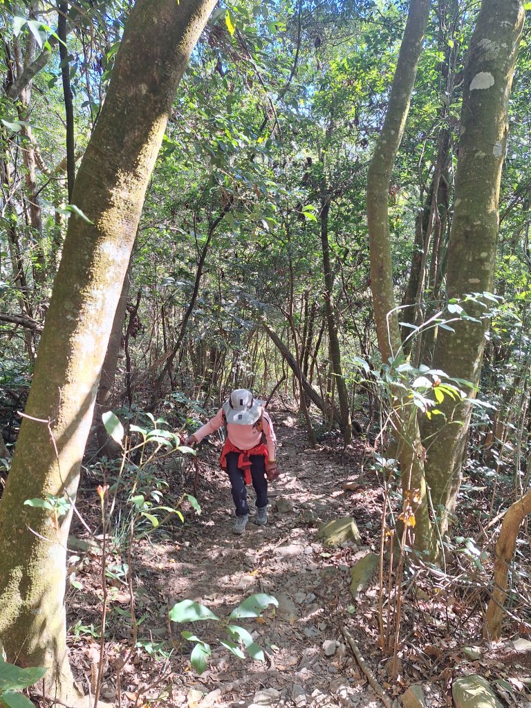 德文山(觀望山)20260105_2978642