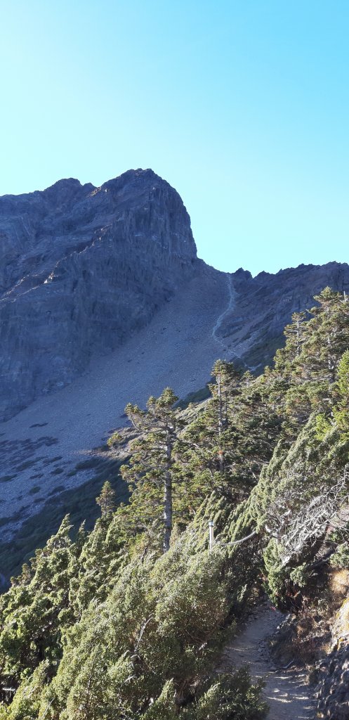 玉山前四峰之旅_869468