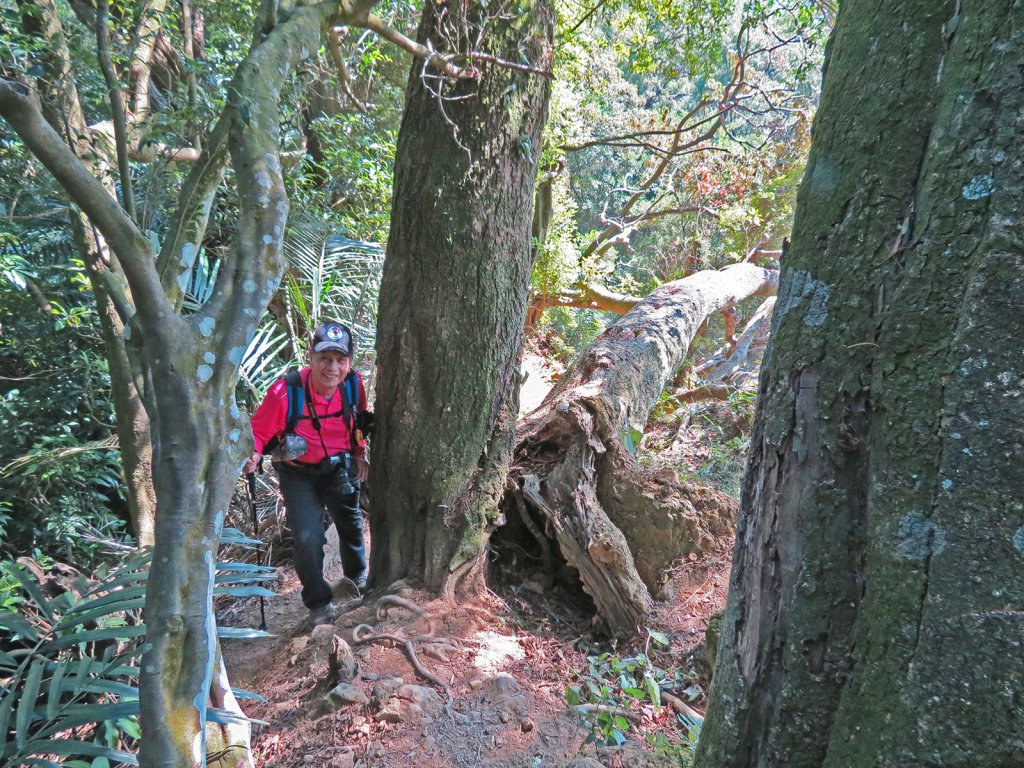 總督府步道.頭寮山_752441