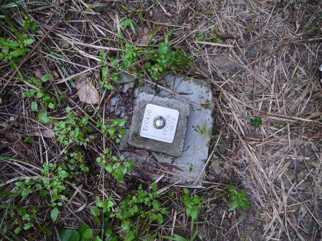 2013.12.14 富陽自然生態步道_674003