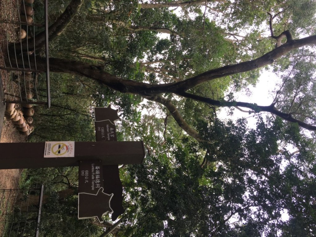 五酒桶山、南崁山封面圖