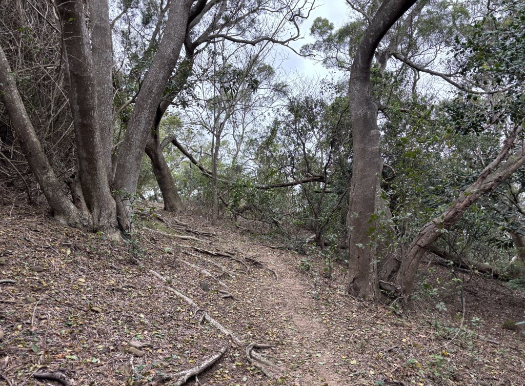 十八尖山與十八尖山西峰_2748059
