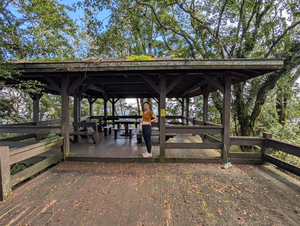 二訪阿里山國家森林遊樂區之大塔山對高岳之旅_2991655