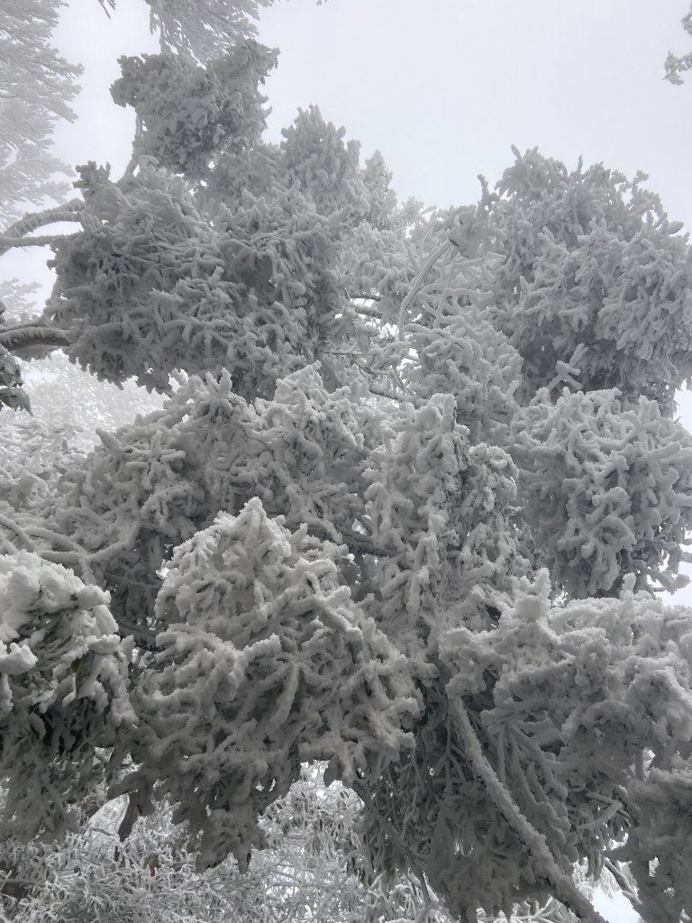 冰凍內鳥嘴~美得讓你哇聲不停_2010045