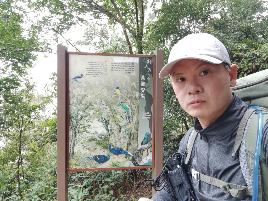 有如山水潑墨夢幻般美的~北大武_1516794