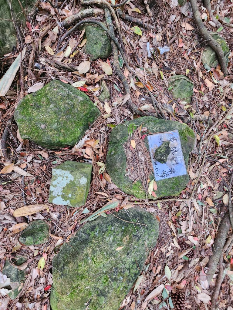 20250329東坑山八角崠山打鹿坑山_2798889