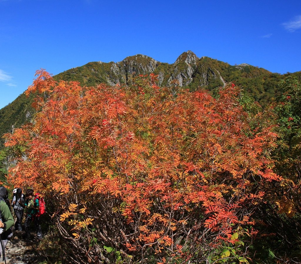 日本奧穗高岳_418685