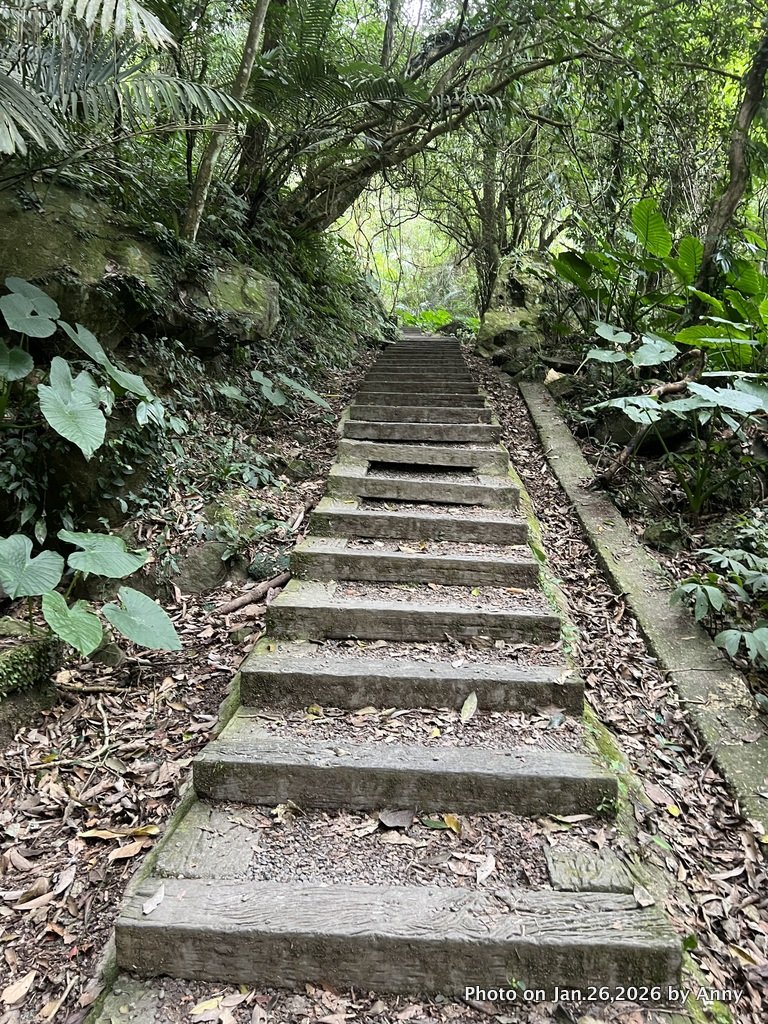 【新竹縣】親民又原始的馬胎古道＋南坪古道_2991172