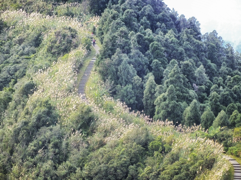 步道小旅行-賞芒聖地五分山_3870