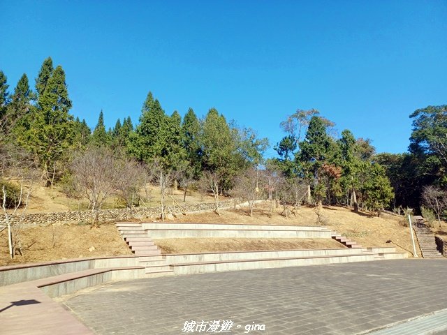 【南投魚池】郊山好視野。 金龍山(槌仔寮山)步道_2976301