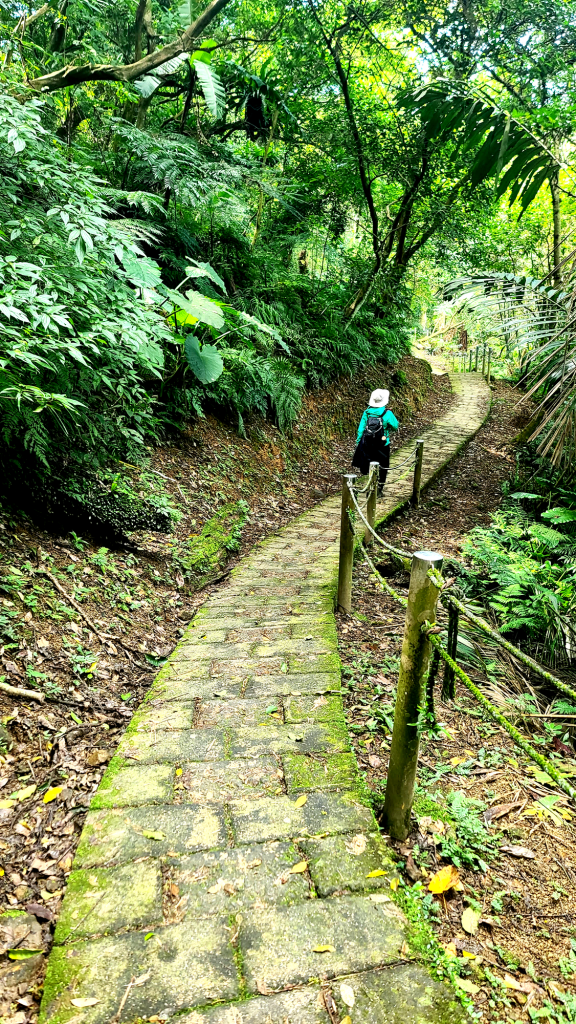 2025-0104 造鎮_五城山_天上山_三粒半_火焰山_慈惠堂_土城大潤發_2682216