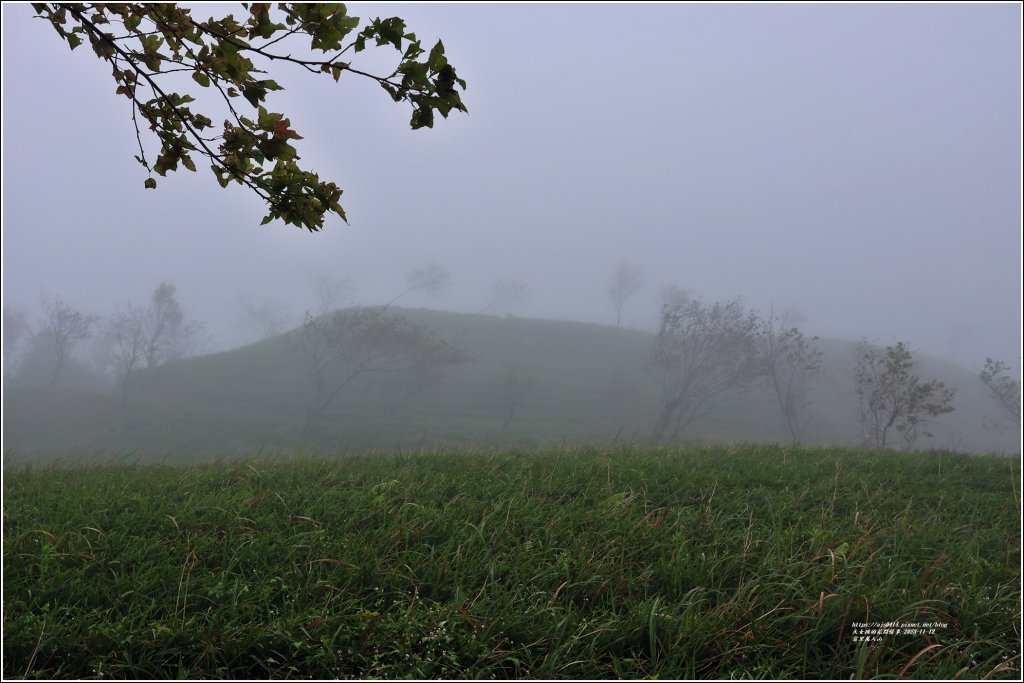 萬人山-2023年11月12日_2347821