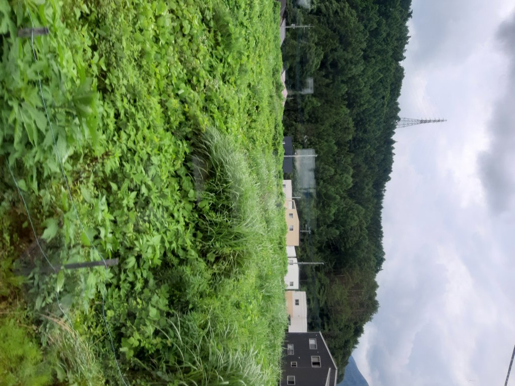 富士山五合目＆忍野八海_642178